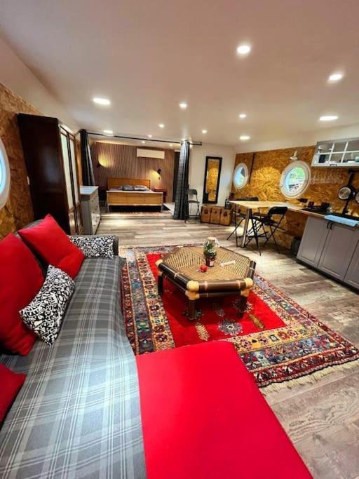 Magnifique Peniche Cosy Et Spacieuse A Toulouse Exterior foto